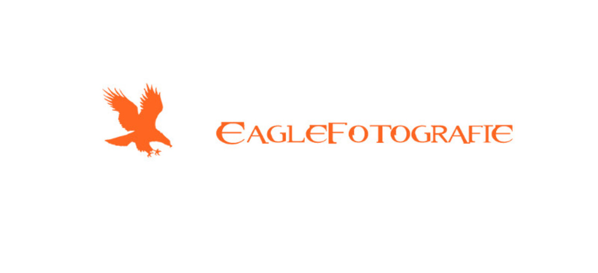 Eagle fotografie